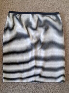 Wsprit Pencil Skirt